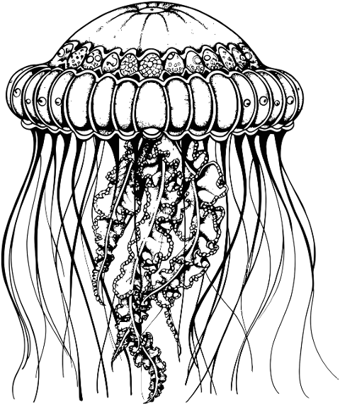 ai-generated-jellyfish-animal-8860733