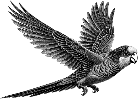 ai-generated-parakeet-bird-animal-9574683