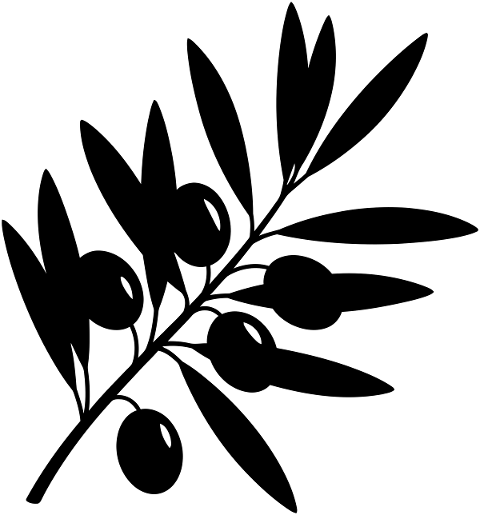olive-branch-leaves-fruit-10052609