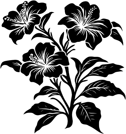 hibiscus-flowers-plant-9061594