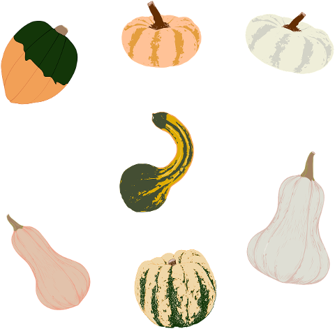 pumpkins-squash-gourds-thanksgiving-7448353