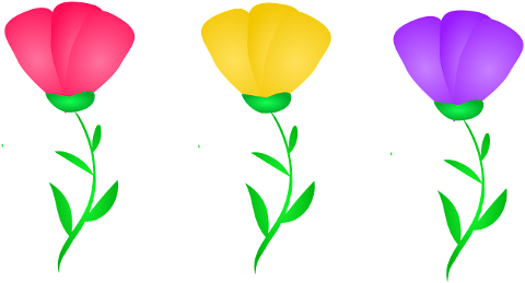 flowers-decoration-spring-9857933