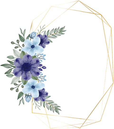 flowers-frame-floral-frame-border-6645524
