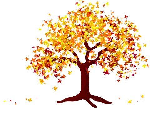tree-autumn-nature-leaves-mood-4565394