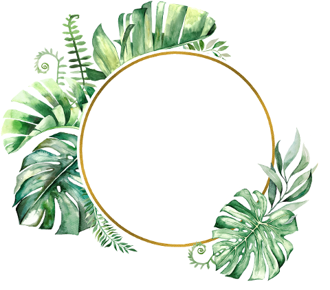 leaves-wreath-frame-border-circle-6590394