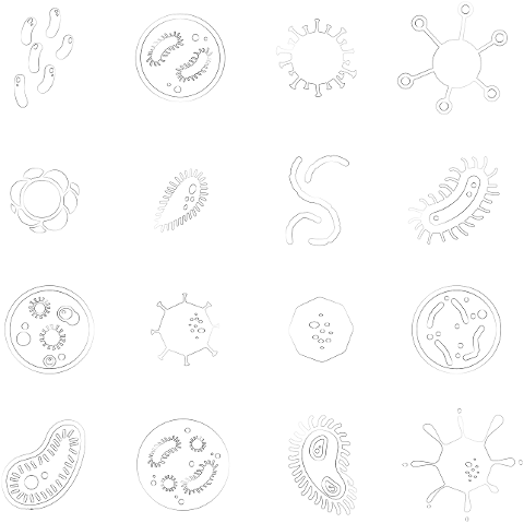 cell-microbiology-science-bacteria-6557320