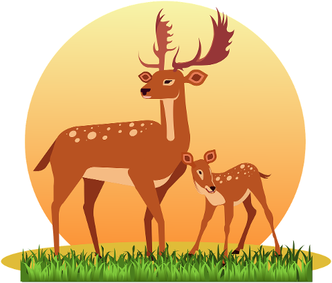 deer-deer-with-cub-young-cub-4462630