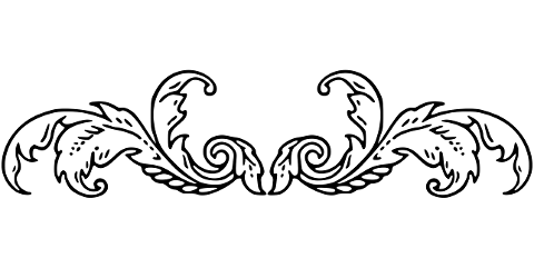 divider-flourish-line-art-separator-7631811