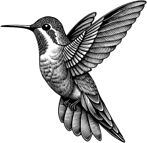ai-generated-hummingbird-bird-8899978