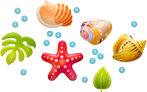 seashells-shells-bubbles-4804470