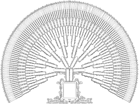 ancestry-tree-genealogy-ancestors-7933639