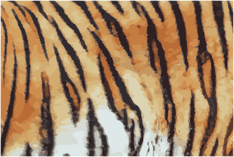 tiger-print-wild-cat-7248099