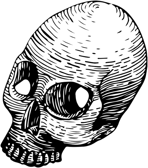 skull-calaca-skeleton-9921431