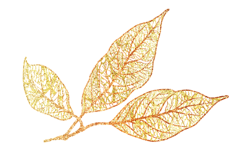 autumn-leaves-skeleton-leaf-glitter-5019587