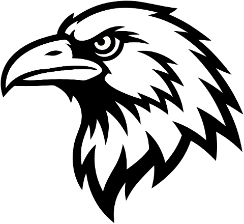 eagle-head-sharp-stylized-9908065