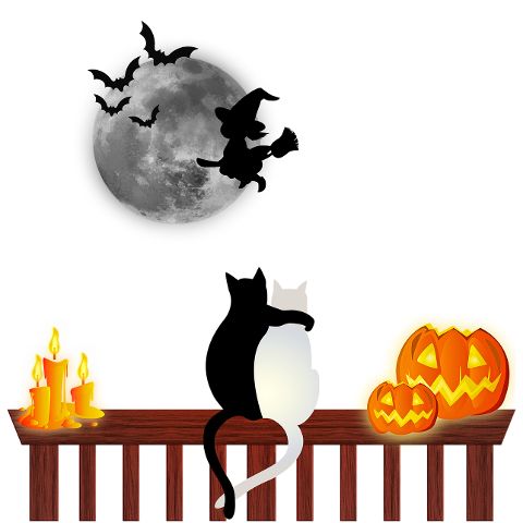 halloween-cat-in-love-moon-witch-4589303