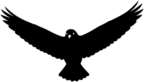 bird-eagle-hawk-falcon-silhouette-10052576