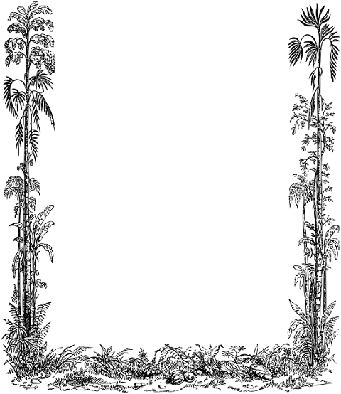 frame-leaves-line-art-border-7210371