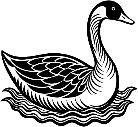 goose-bird-animal-ornithology-8799269