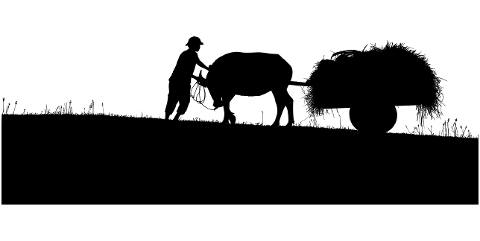 farmer-man-silhouette-labor-7290208