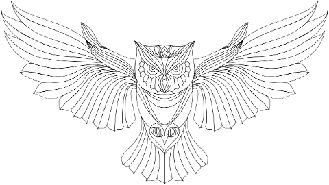 owl-bird-geometric-animal-wings-5986452