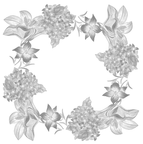 hydrangea-frame-flowers-nature-8487575