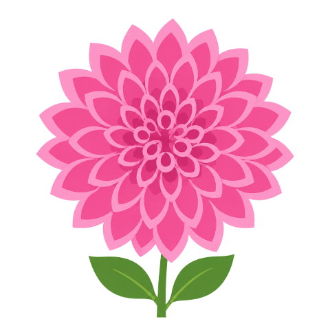pink-flower-dahlia-isolated-petals-10366178