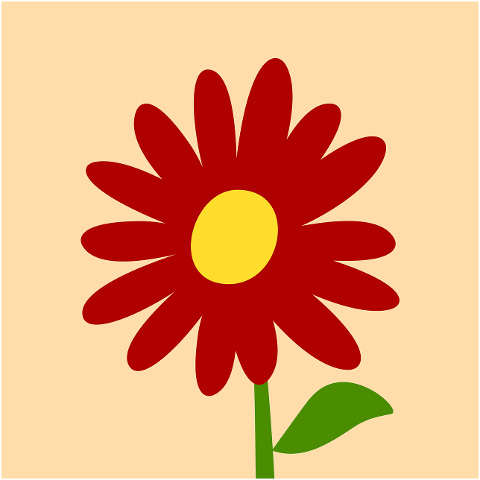 flower-nature-red-poppies-bloom-9742905