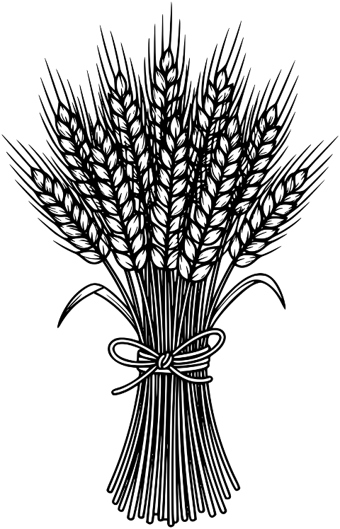 wheat-sheaf-grain-harvest-10018866