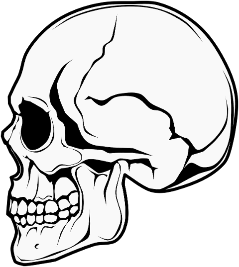 skull-side-view-skull-horror-evil-7320807