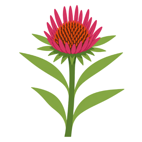 echinacea-coneflower-pink-flower-10358380