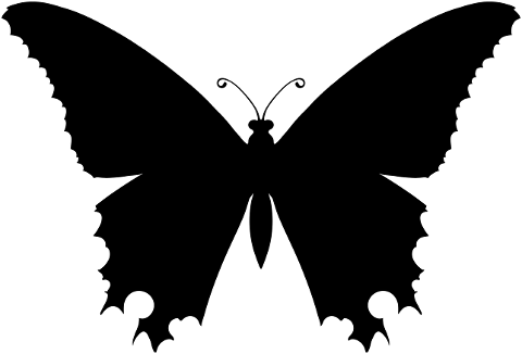 butterfly-insect-silhouette-animal-8135264