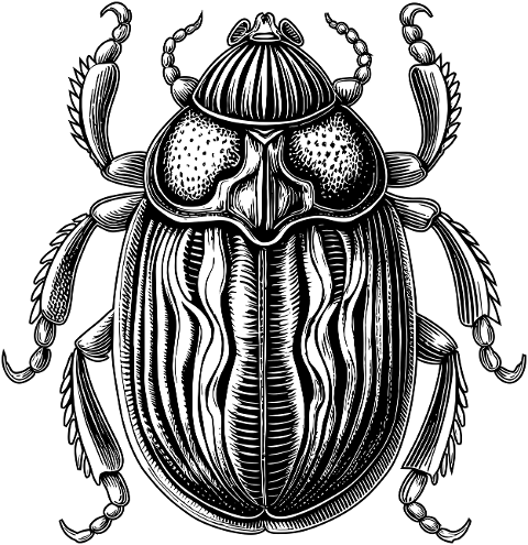 ai-generated-scarab-beetle-insect-8906998