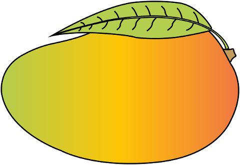 mango-fruit-food-vitamins-diet-6882588