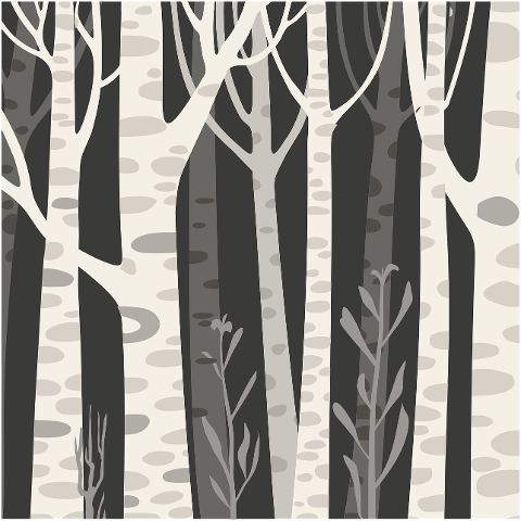 trees-wood-night-forest-dark-9634378