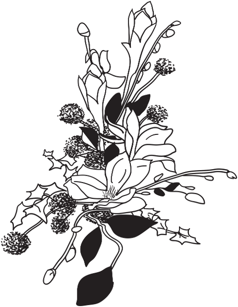 arrangement-flowers-magnolia-7440637