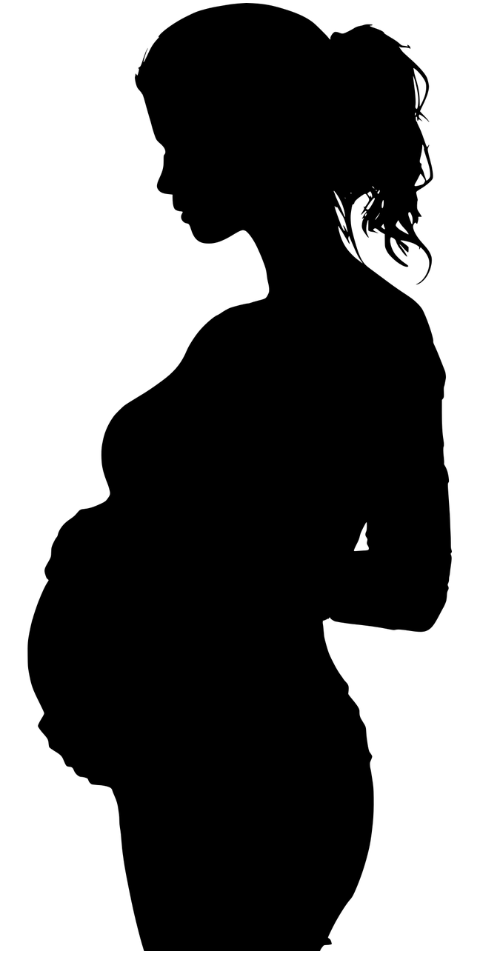 mother-pregnancy-pregnant-8681232