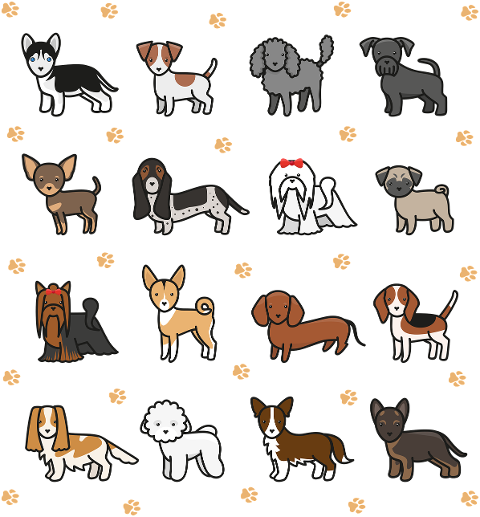 dog-doggie-puppy-pet-dog-breeds-7236101