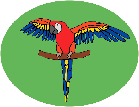 parrot-bird-digital-drawing-cartoon-7605468
