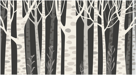 trees-wood-night-forest-dark-9634372