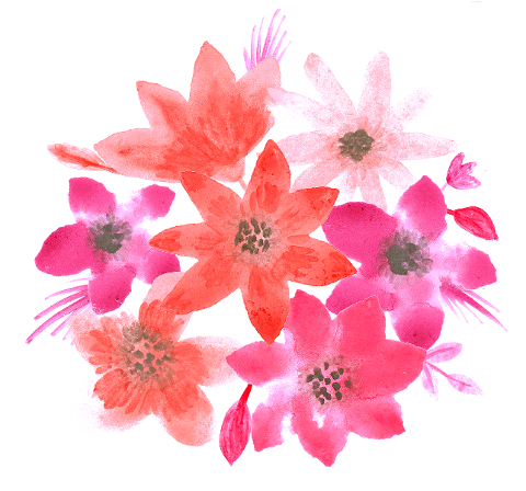 flowers-watercolor-decorative-6195476
