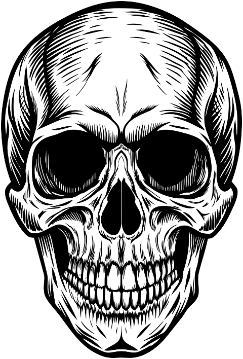 ai-generated-skull-skeleton-bones-8984199