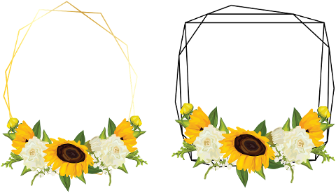 flowers-frames-borders-design-6530237