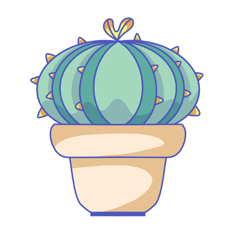 cactus-succulent-plant-cacti-pot-6059136