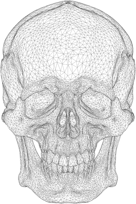 skull-head-low-poly-face-wireframe-7551975