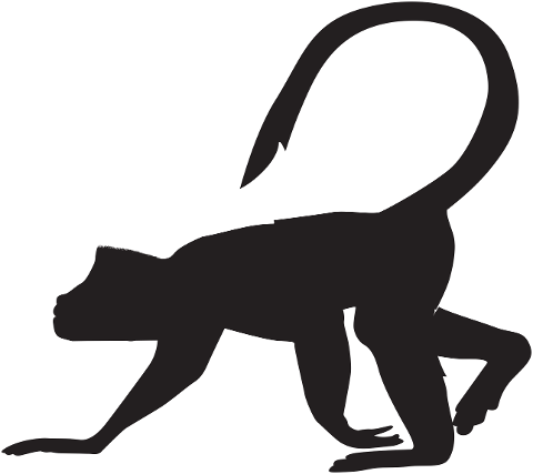 monkey-primate-clip-art-cutout-7117182