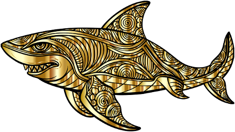 shark-animal-predator-aquatic-8853352