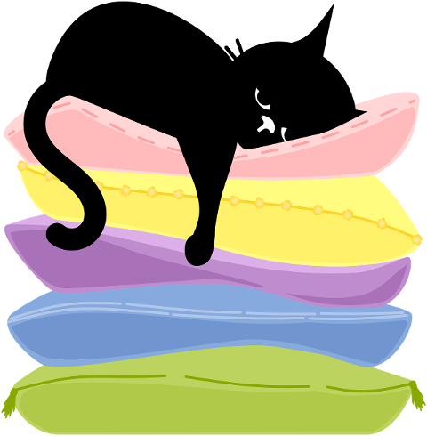 cat-kitten-black-cats-pet-animal-9665990