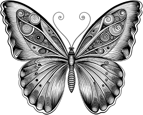 ai-generated-butterfly-insect-9574679