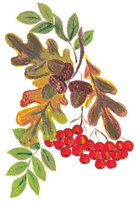 rowan-berries-fruits-painting-plant-7503784